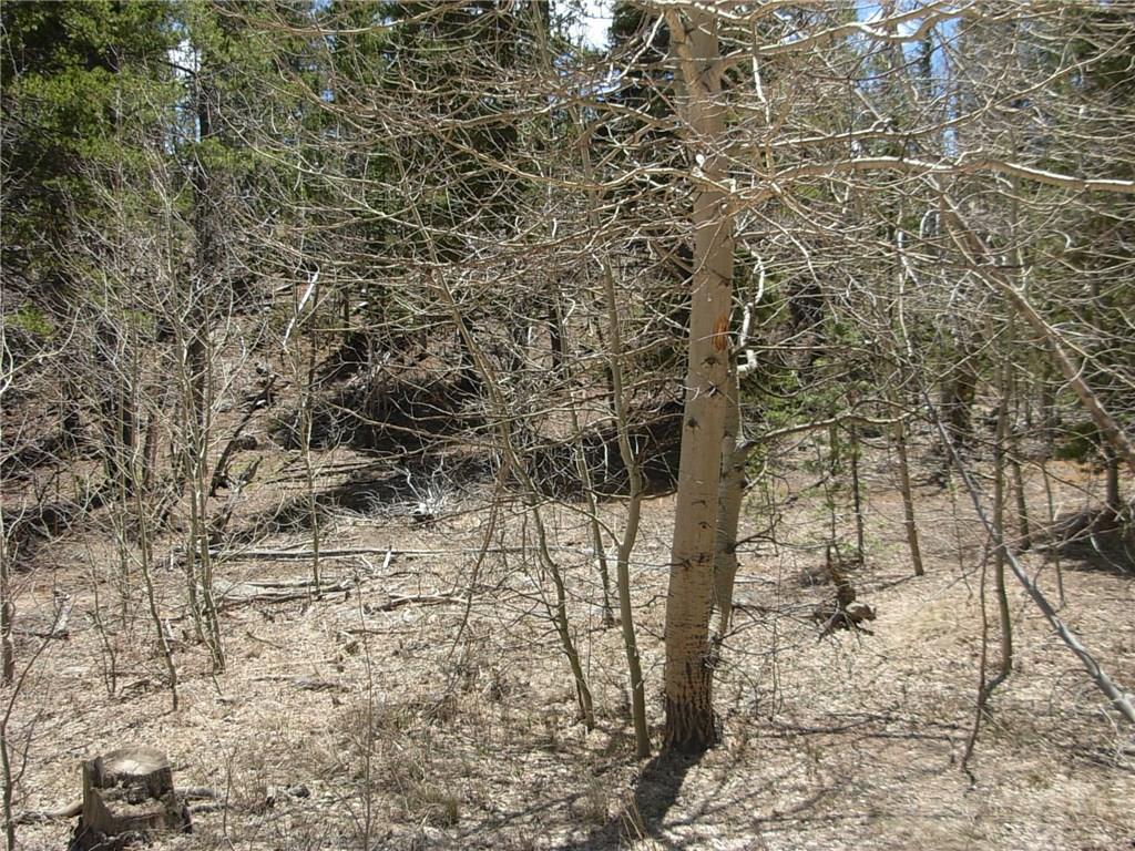 900 Venture Road Fairplay, CO 80440 - Photo 20 of 25 Gallery Image 20