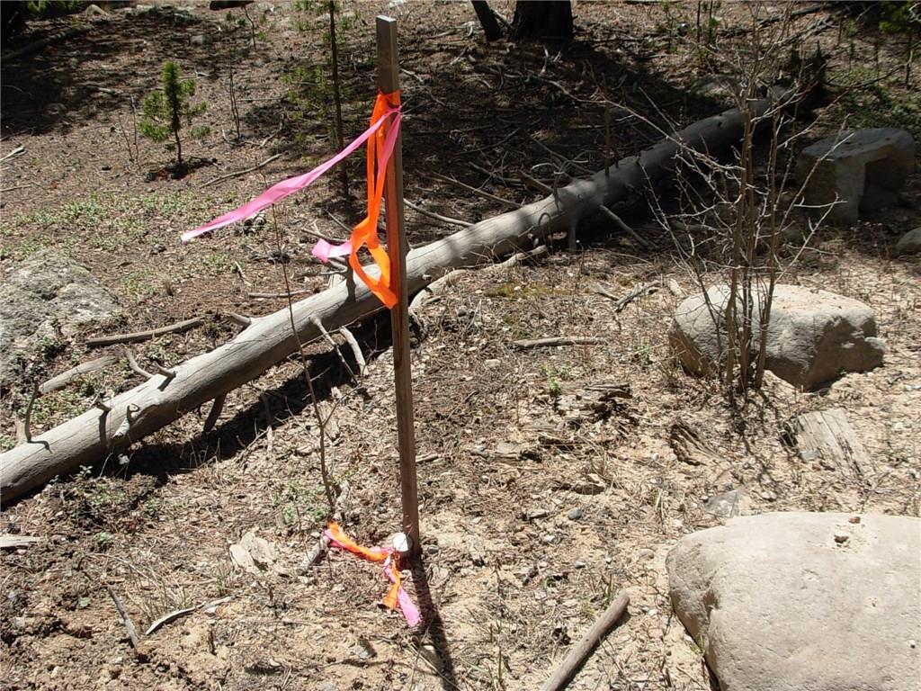 900 Venture Road Fairplay, CO 80440 - Photo 21 of 25 Gallery Image 21