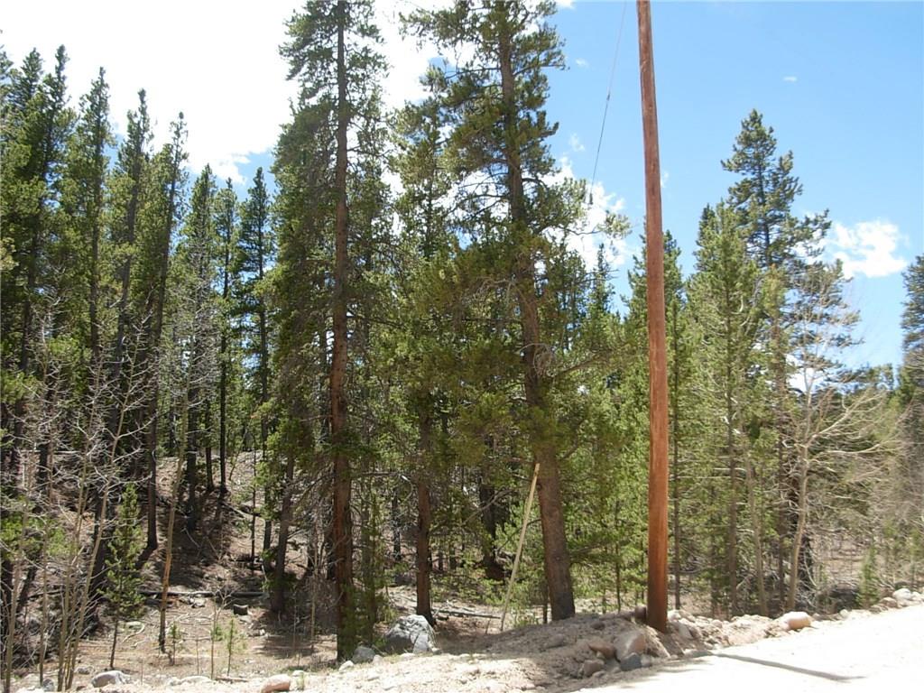 900 Venture Road Fairplay, CO 80440 - Photo 22 of 25 Gallery Image 22