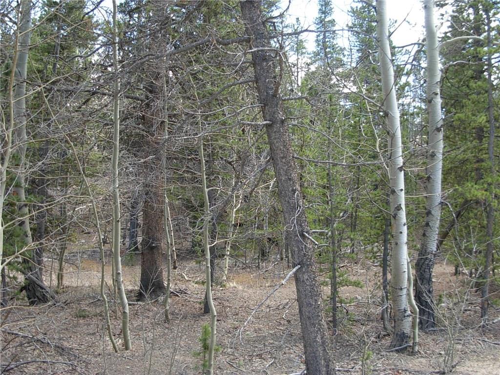 900 Venture Road Fairplay, CO 80440 - Photo 23 of 25 Gallery Image 23
