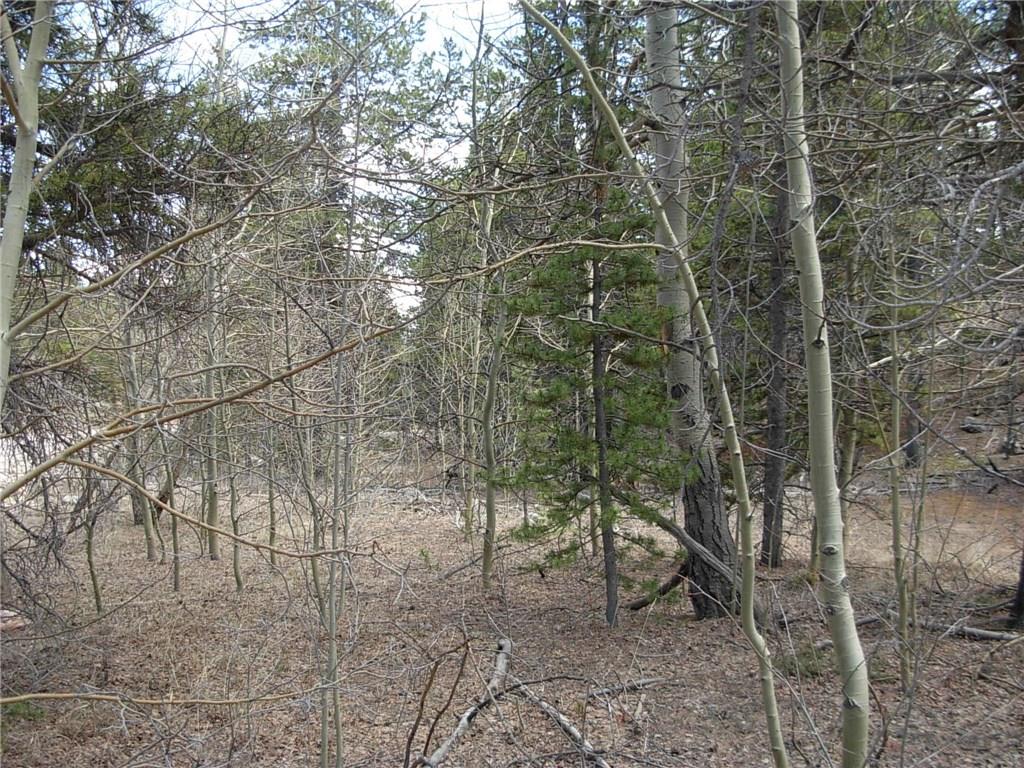 900 Venture Road Fairplay, CO 80440 - Photo 24 of 25 Gallery Image 24