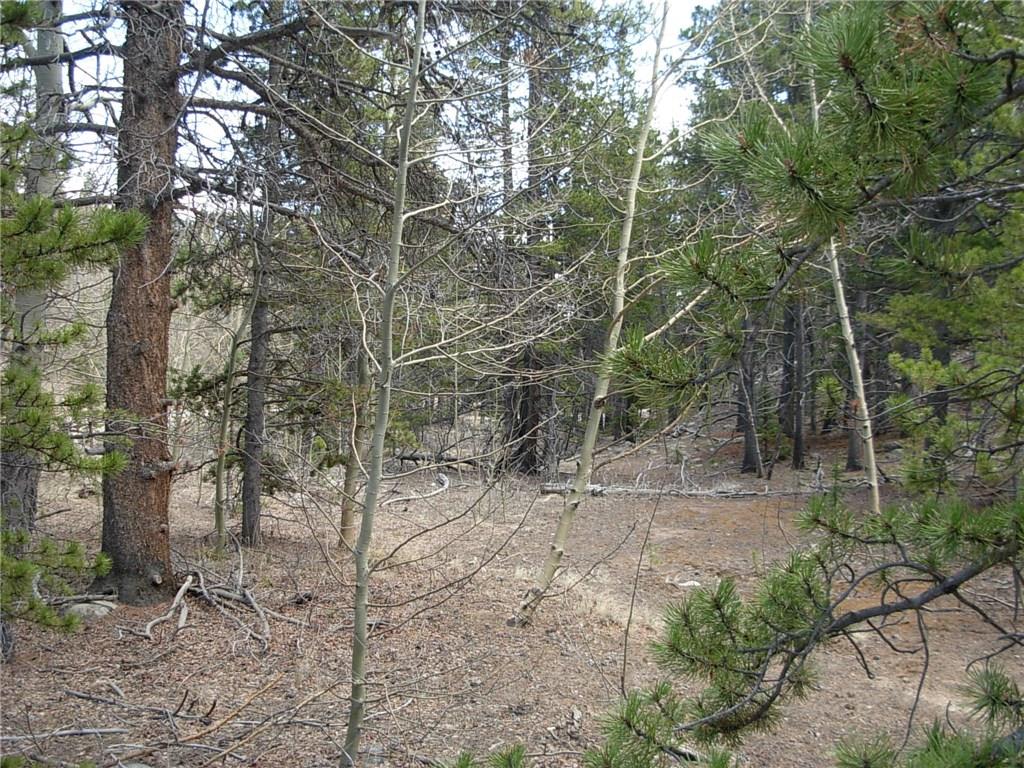 900 Venture Road Fairplay, CO 80440 - Photo 25 of 25 Gallery Image 25