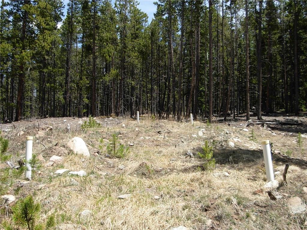 900 Venture Road Fairplay, CO 80440 - Photo 4 of 25 Gallery Image 4