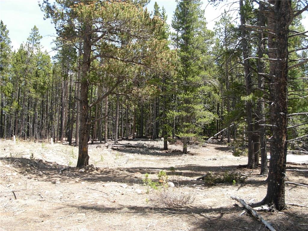 900 Venture Road Fairplay, CO 80440 - Photo 8 of 25 Gallery Image 8