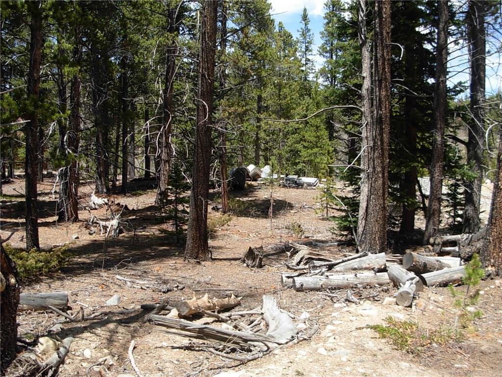 900 Venture Road Fairplay, CO 80440 - Photo 9 of 25 Gallery Image 9