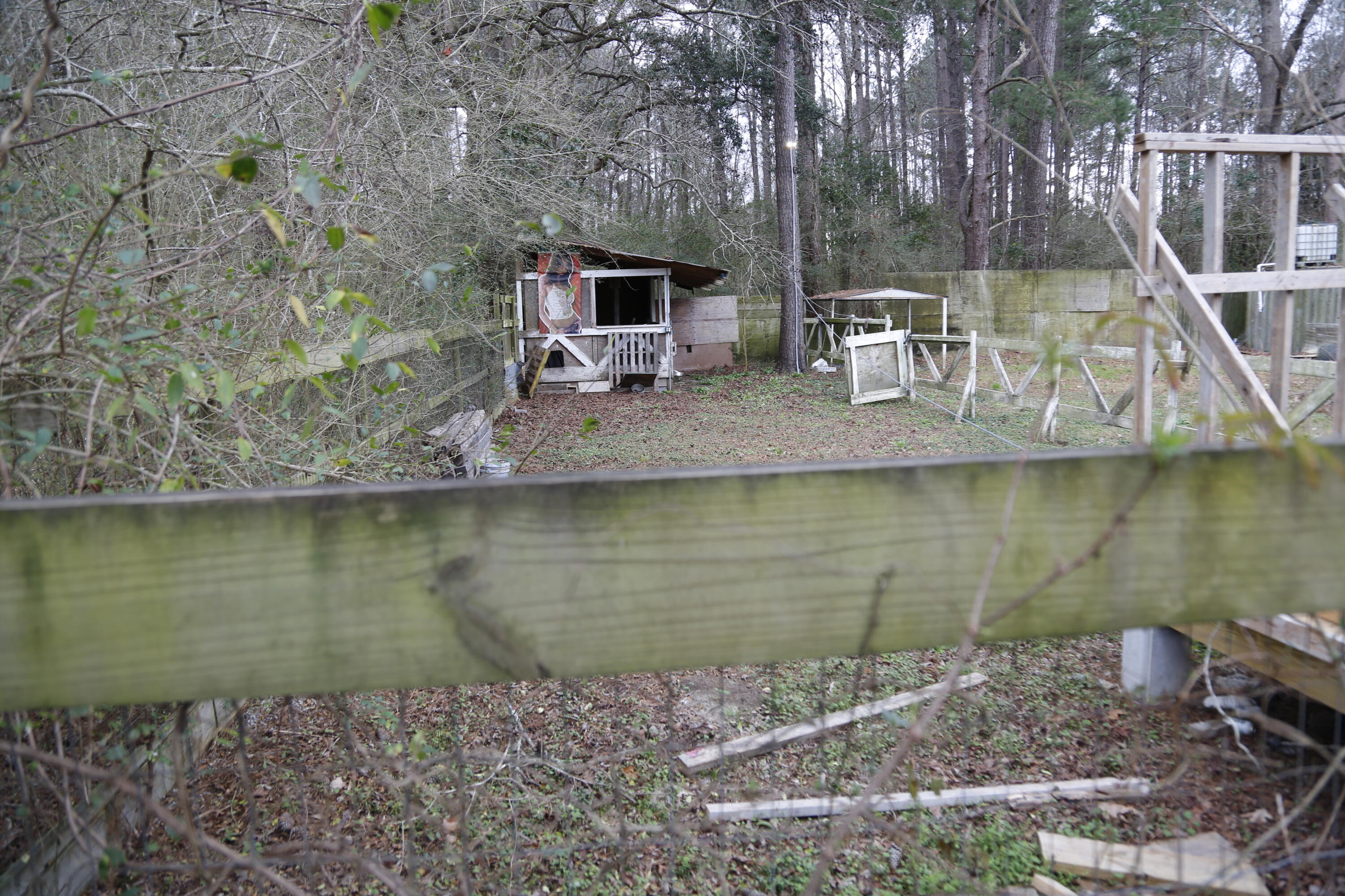 496 Pond Road Goose Creek, SC 29445 - Photo 34 of 73 _J1A6007