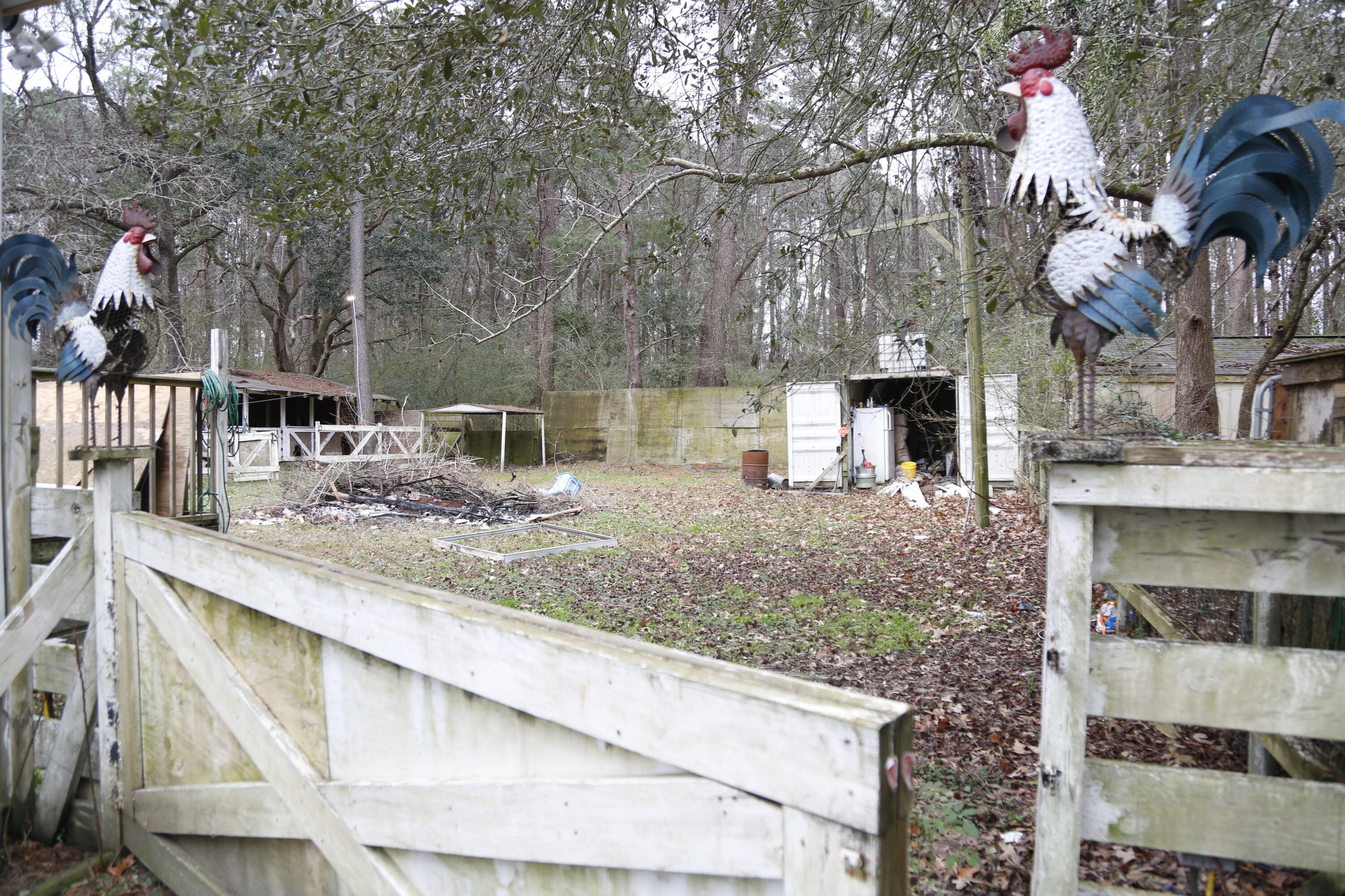 496 Pond Road Goose Creek, SC 29445 - Photo 47 of 73 _J1A6020