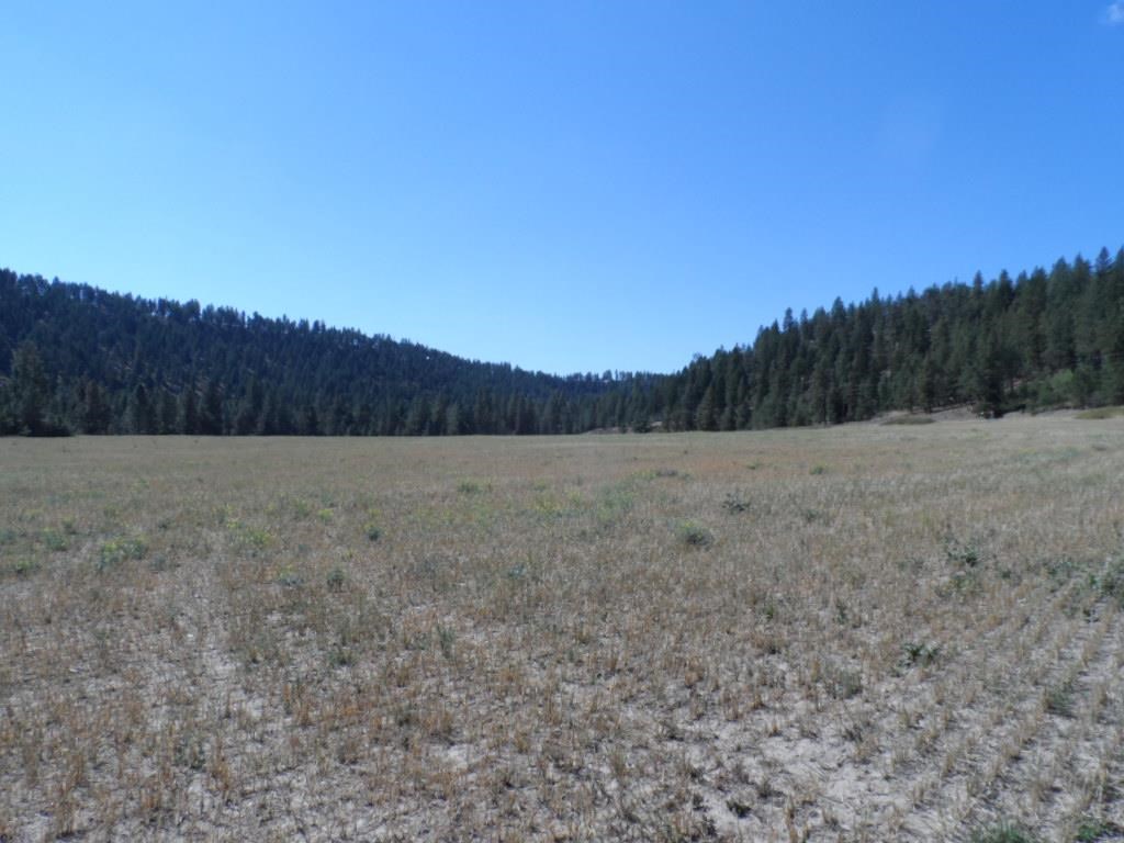 15921 West Coulee Hite Road Spokane, WA 99224 - Photo 2 of 5