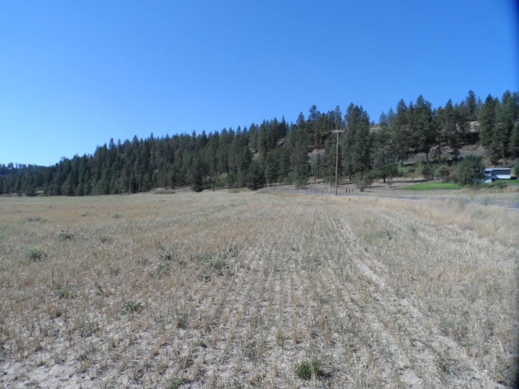 15921 West Coulee Hite Road Spokane, WA 99224 - Photo 3 of 5