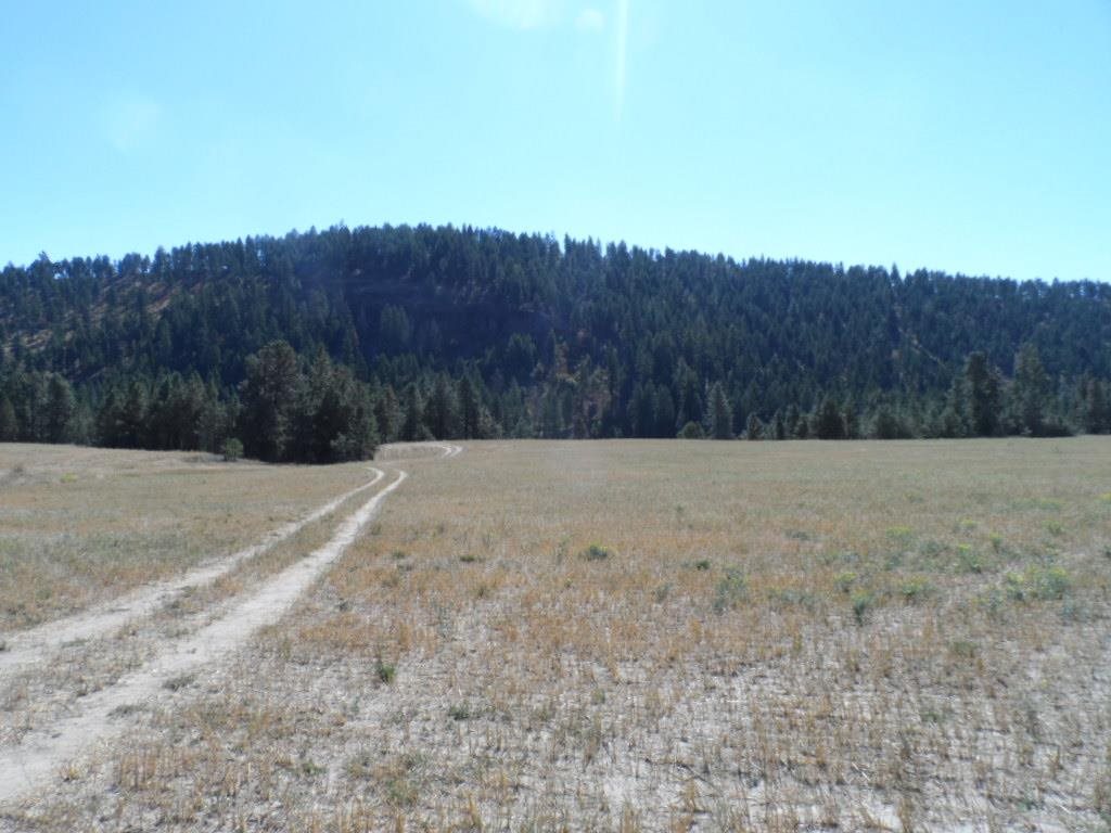 15921 West Coulee Hite Road Spokane, WA 99224 - Photo 4 of 5