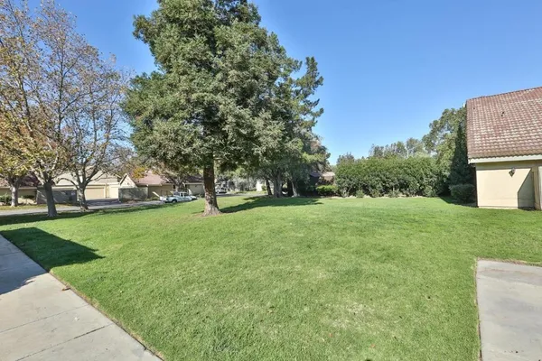 a view of yard with green space and trees