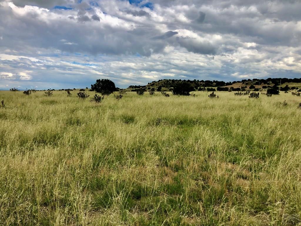 Tbd Ridge Road Walsenburg, CO 81089 - Photo 7 of 20