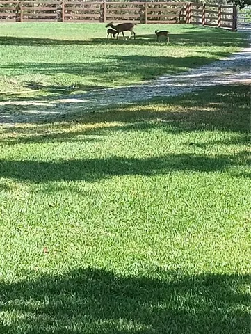 $1,100,000 | 372 Wekiva Park Drive, Sanford, FL 32771