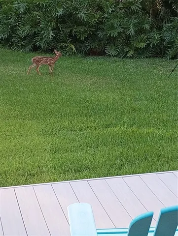 $1,100,000 | 372 Wekiva Park Drive, Sanford, FL 32771