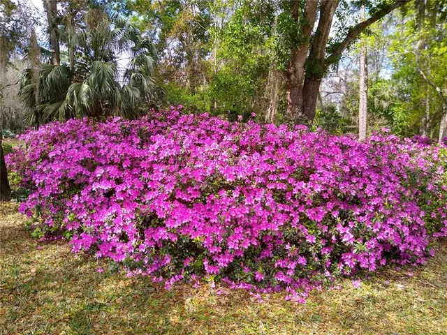 $1,100,000 | 372 Wekiva Park Drive, Sanford, FL 32771