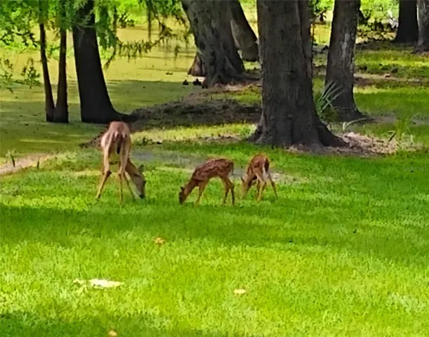 $1,100,000 | 372 Wekiva Park Drive, Sanford, FL 32771