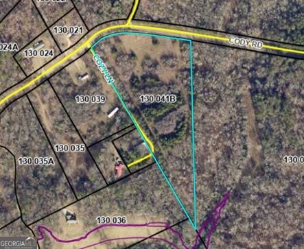 10.8-ac Cody Road Mount Airy, GA 30563 - Photo 1 of 21 Gallery Image 1