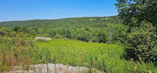 $27,900 | 3616 Cheningo Solon Pond Road, Cincinnatus, NY 13040