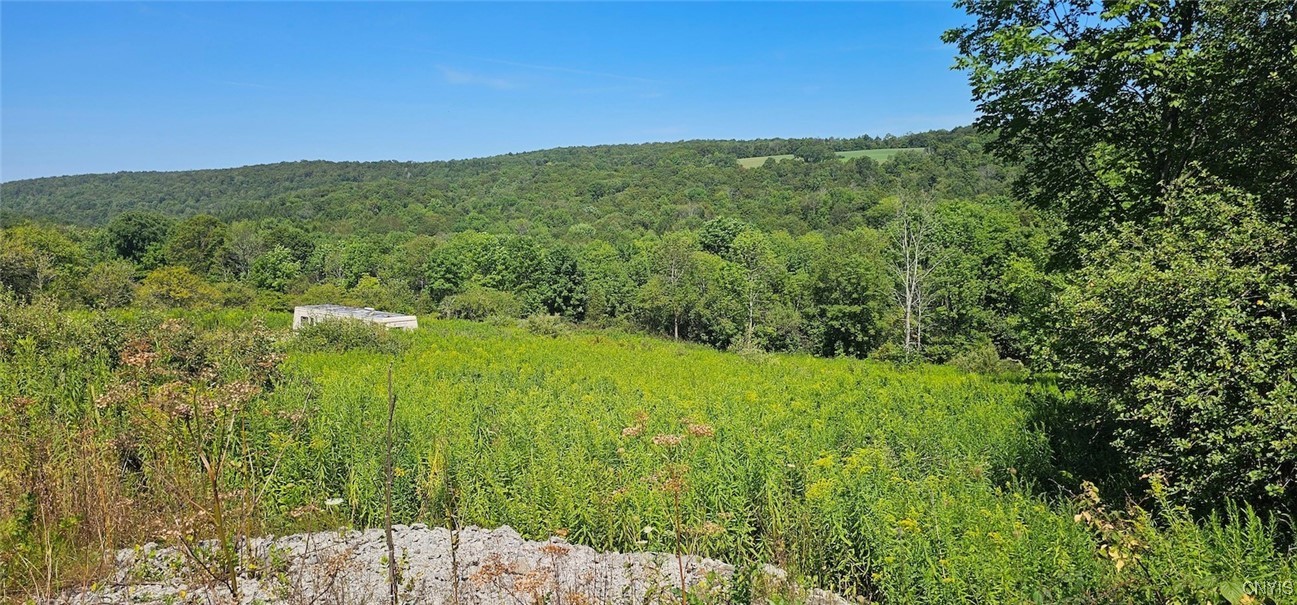 3616 Cheningo Solon Pond Road Cincinnatus, NY 13040 - Photo 11 of 13