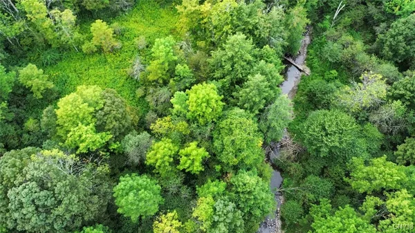 $27,900 | 3616 Cheningo Solon Pond Road, Cincinnatus, NY 13040