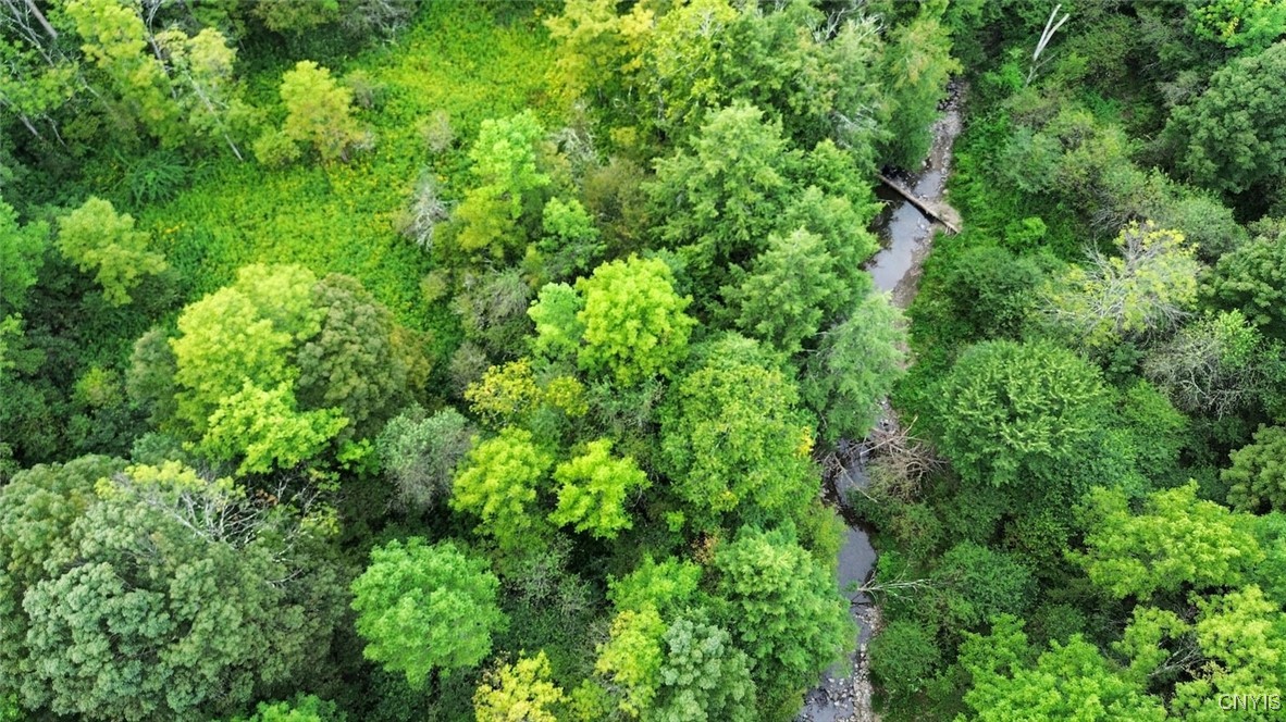 3616 Cheningo Solon Pond Road Cincinnatus, NY 13040 - Photo 2 of 13