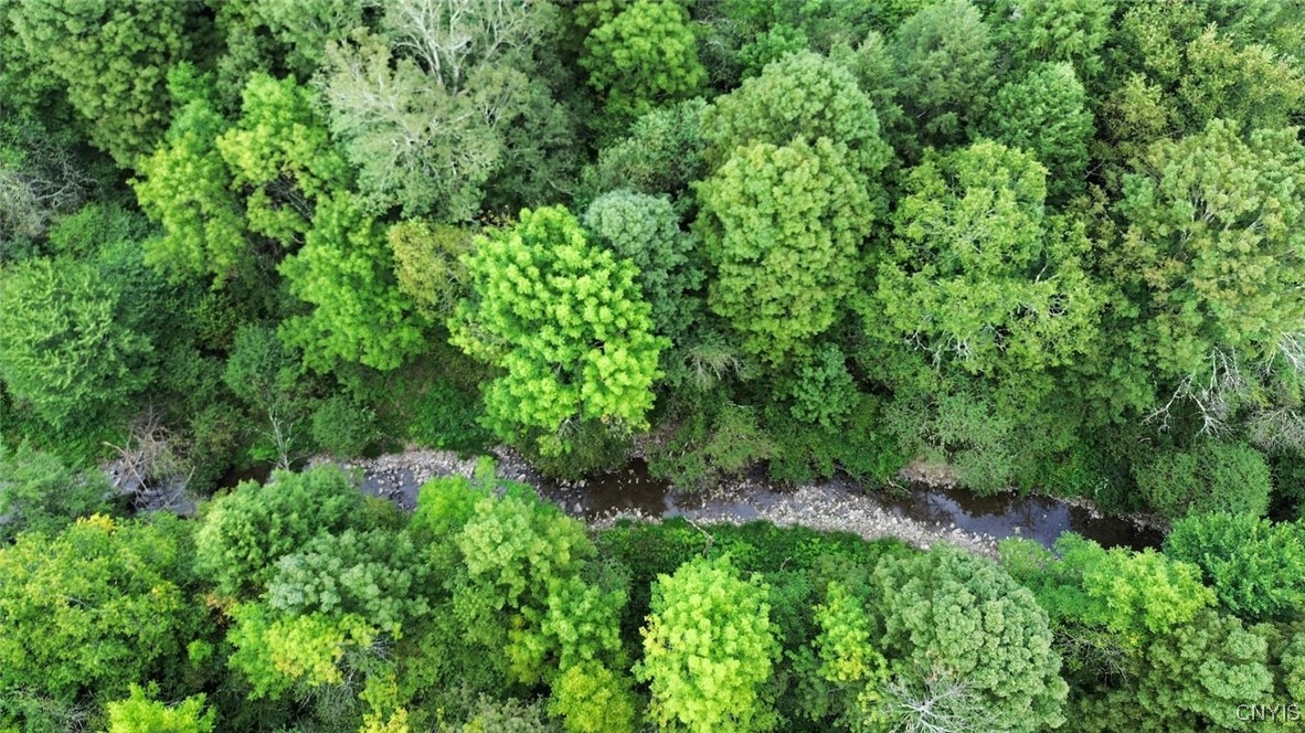 3616 Cheningo Solon Pond Road Cincinnatus, NY 13040 - Photo 3 of 13