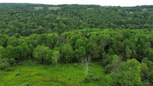 $27,900 | 3616 Cheningo Solon Pond Road, Cincinnatus, NY 13040