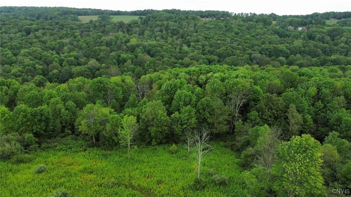 3616 Cheningo Solon Pond Road Cincinnatus, NY 13040 - Photo 4 of 13