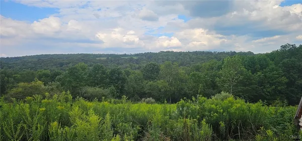 $27,900 | 3616 Cheningo Solon Pond Road, Cincinnatus, NY 13040