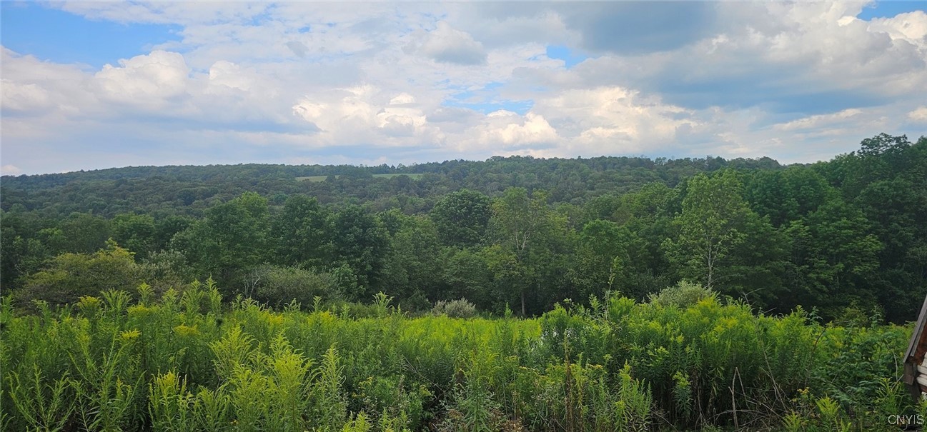 3616 Cheningo Solon Pond Road Cincinnatus, NY 13040 - Photo 6 of 13