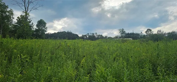 $27,900 | 3616 Cheningo Solon Pond Road, Cincinnatus, NY 13040