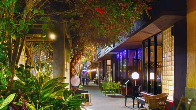 a group of people sitting in a backyard