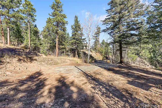 a view of a yard with plants and trees