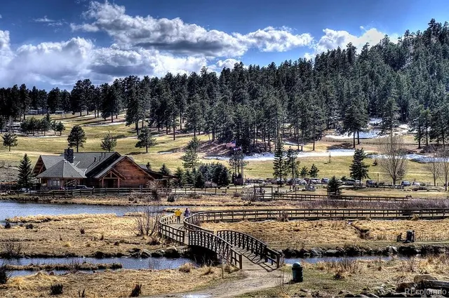 a view of a lake with lots of trees