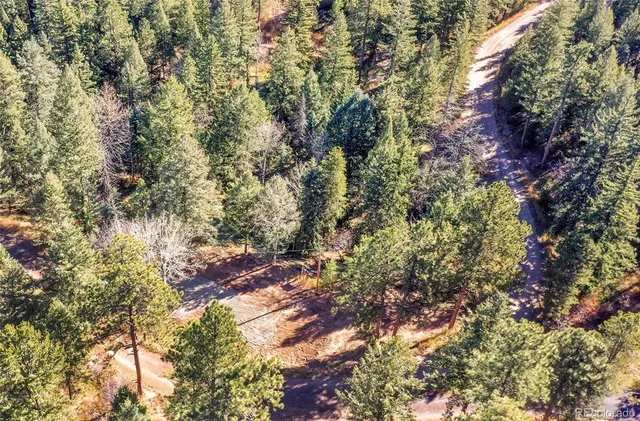 a view of a city with lush green forest