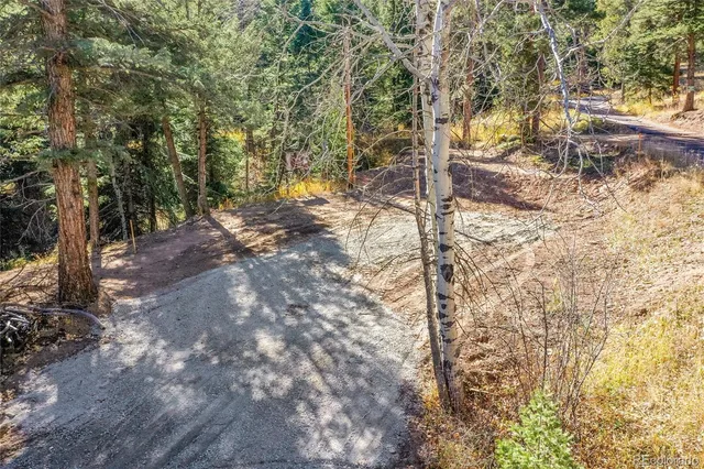 a view of trees with trees