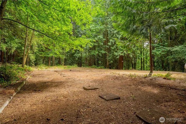 a view of backyard with green space