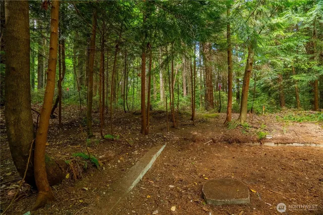 a view of backyard with green space