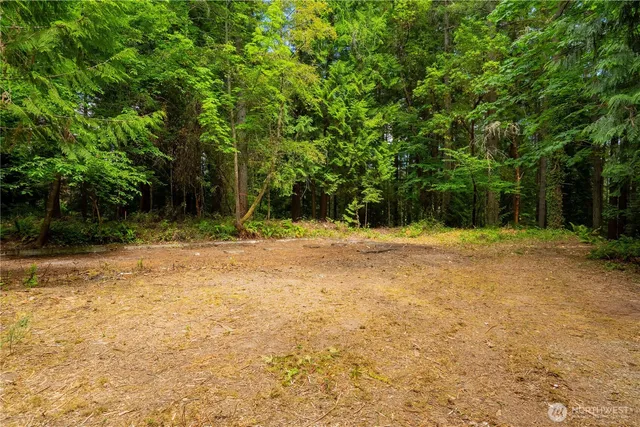 a view of backyard space