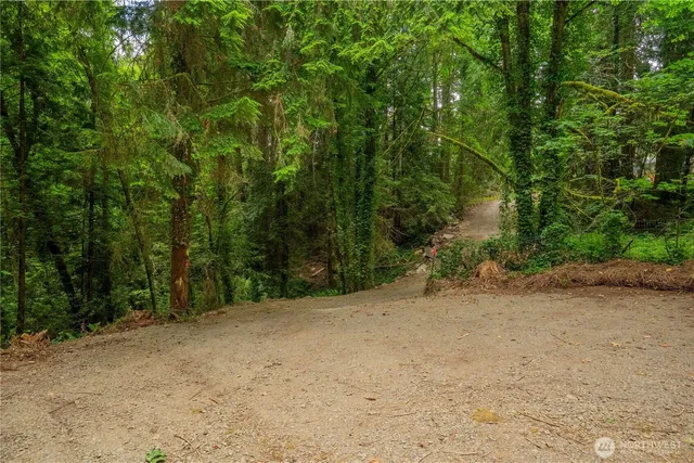 a view of a dirt road with trees in the background