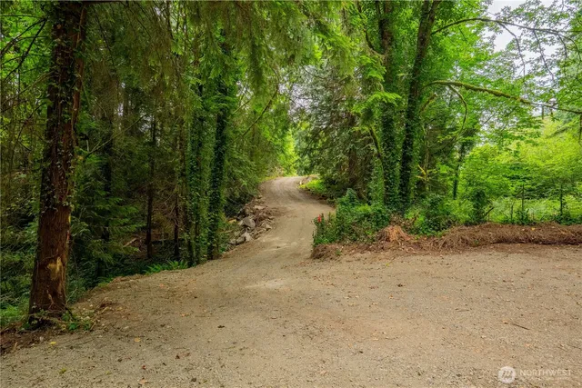 a view of a dirt road with trees in the background