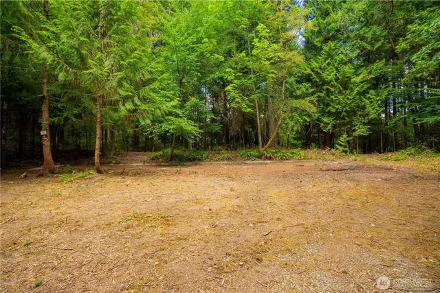 a backyard of a house with lots of green space