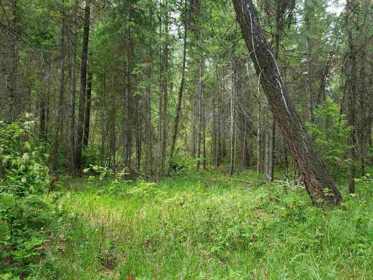 395 North Laurier Road Kettle Falls, WA 99141 - Photo 1 of 16 Gallery Image 1