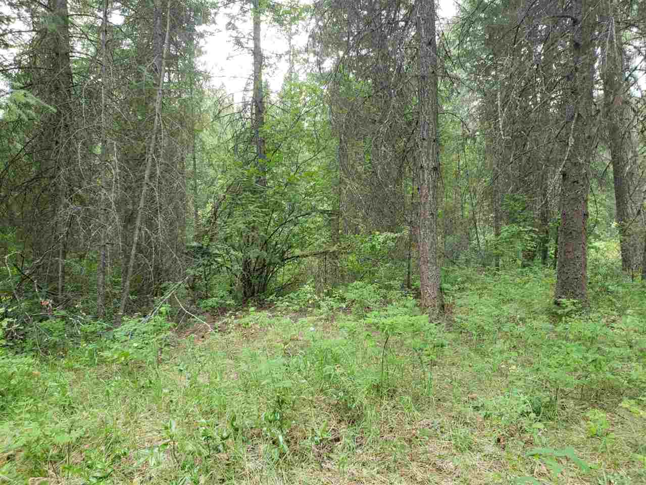 395 North Laurier Road Kettle Falls, WA 99141 - Photo 3 of 16 Gallery Image 3