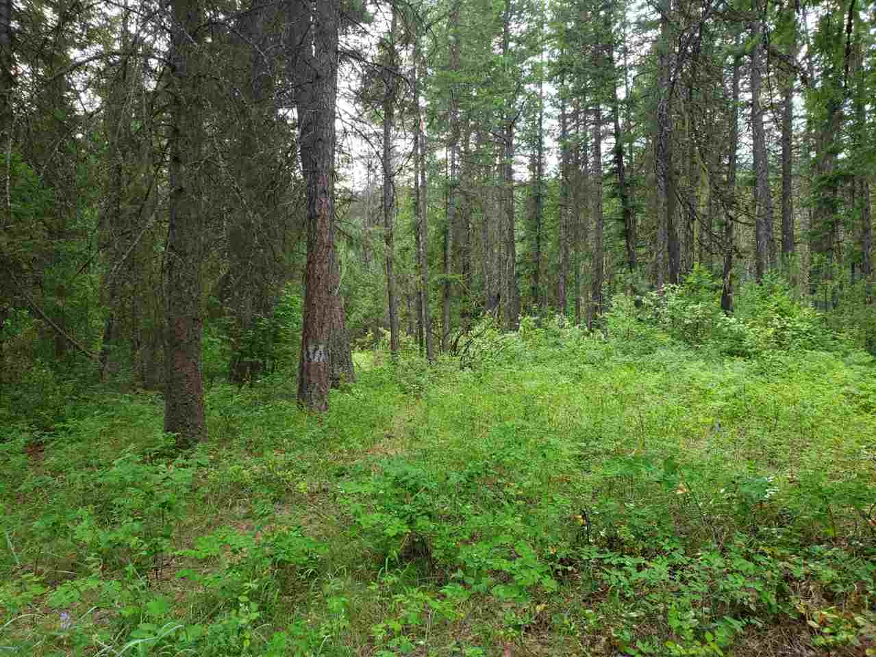 395 North Laurier Road Kettle Falls, WA 99141 - Photo 4 of 16 Gallery Image 4