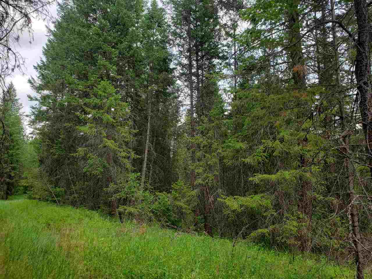 395 North Laurier Road Kettle Falls, WA 99141 - Photo 5 of 16 Gallery Image 5