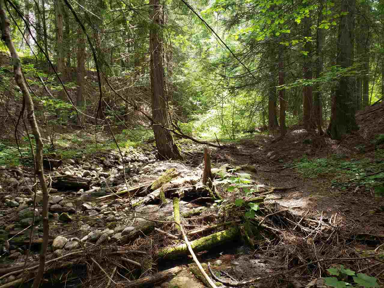 395 North Laurier Road Kettle Falls, WA 99141 - Photo 8 of 16 Gallery Image 8