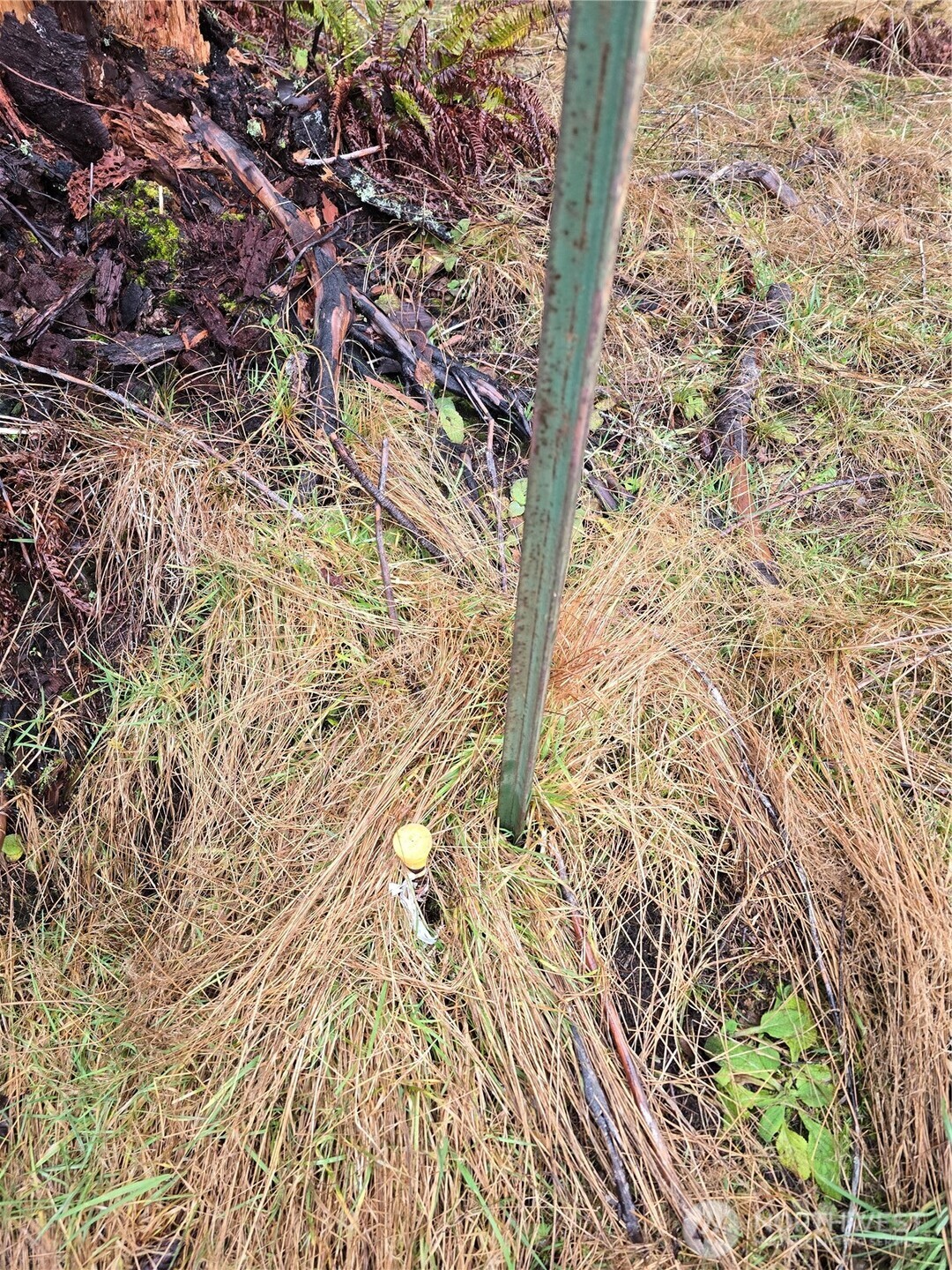 1-2 West Elk Hill Road Elma, WA 98541 - Photo 11 of 14