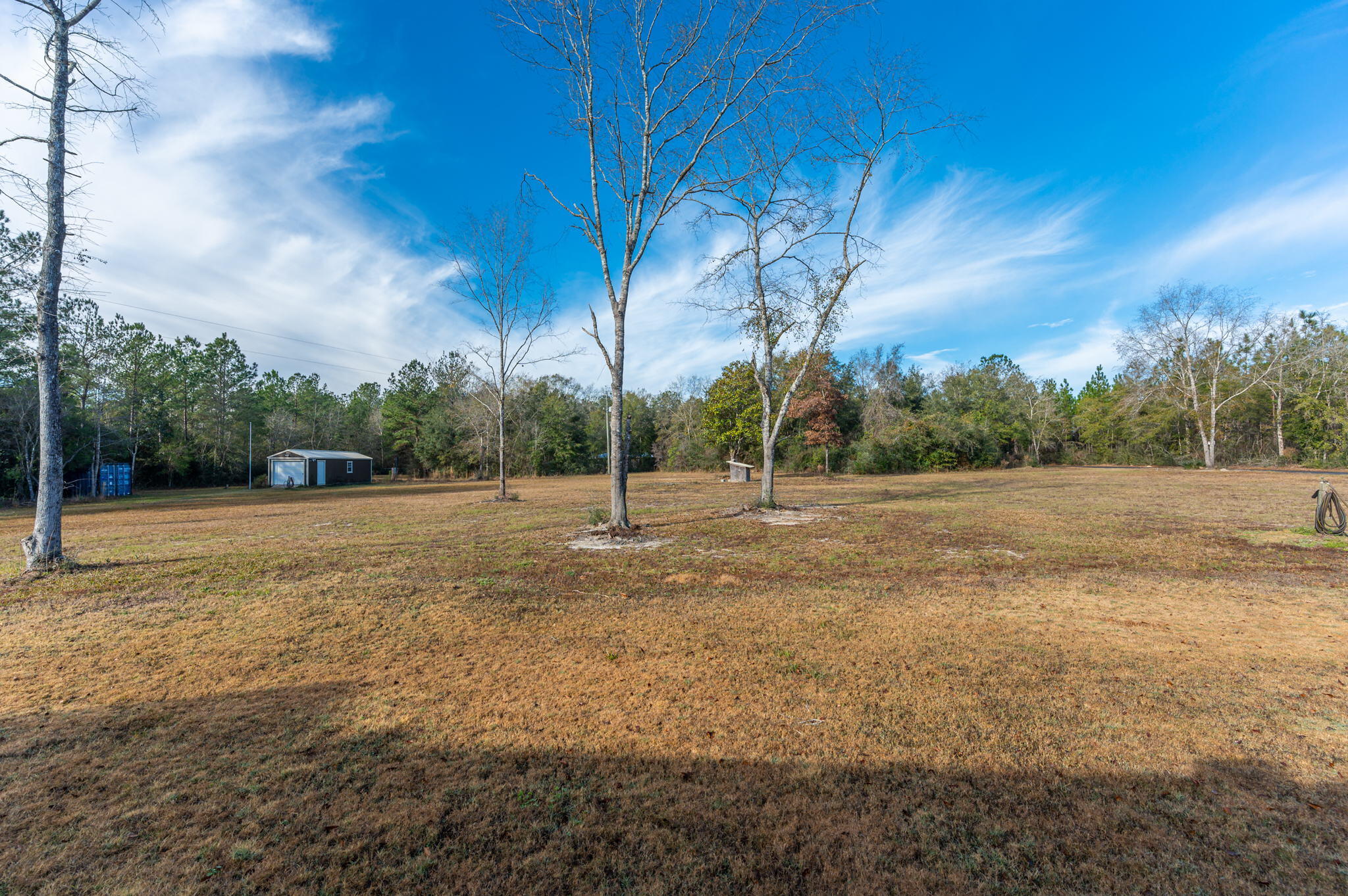 6019 Old River Road Baker, FL 32531 - Photo 49 of 54 a view of backyard with green space