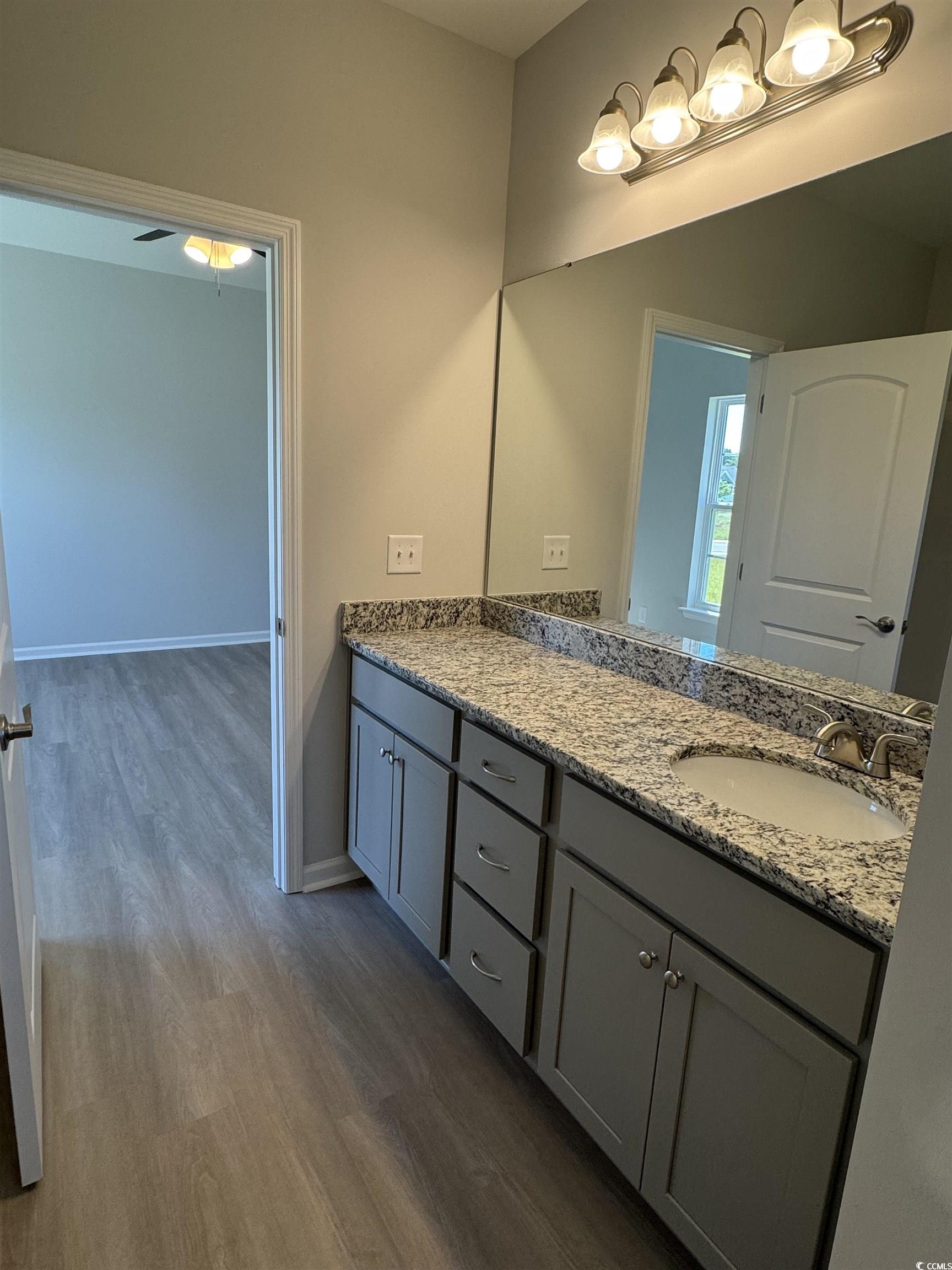 598 Shallow Cv Drive Conway, SC 29527 - Photo 22 of 25